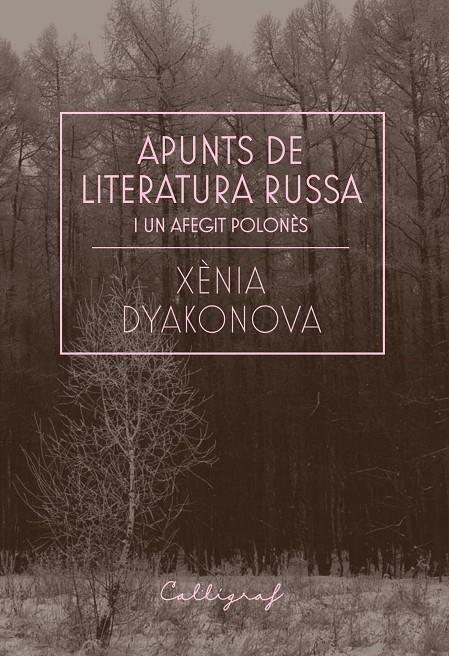 Apunts de literatura russa i un afegit polonès | 9788412212358 | Xènia Dyakonova