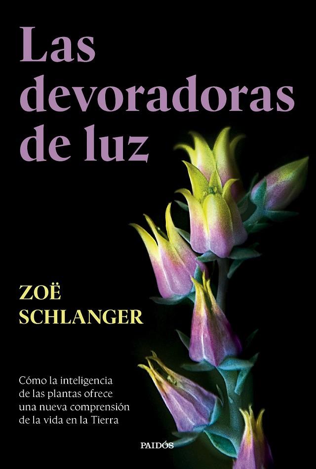 Las devoradoras de luz | 9788449343742 | Schlanger, Zoë