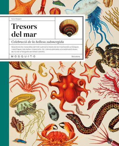 Tresors del mar | 9788419095756 | Margarit, Núria