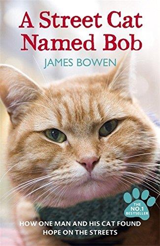A street cat named Bob | 9781444737110 | James Bowen