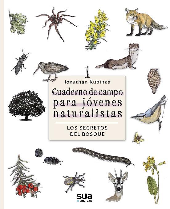 Los secretos del Bosque | 9788482168883 | Rubines Garcia, Jonathan