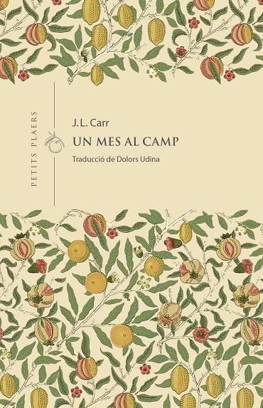 Un mes al camp | 9788419474766 | Carr, J. L.