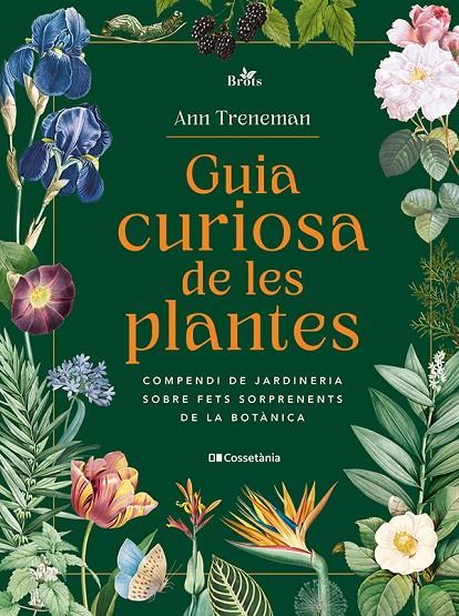 Guia curiosa de les plantes | 9788413565354 | Treneman, Ann