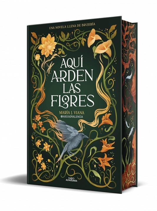 Aquí arden las flores | 9791387741662 | @aiguadvalencia