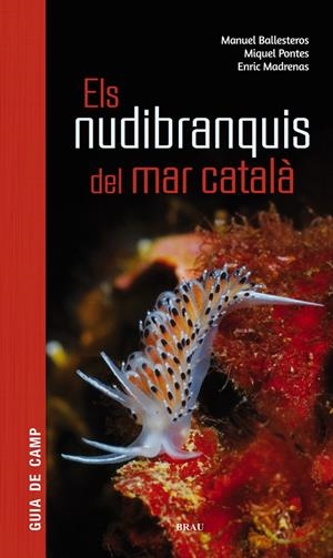 Els nudibranquis del mar català | 9788415885924 | Ballesteros Vázquez, Manuel / Pontes Garcia, Miquel / Madrenas Tomàs, Enric