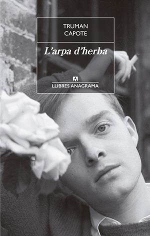 L arpa d herba | 9788433915481 | Capote, Truman