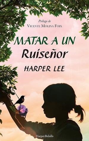 Matar a un Ruiseñor (B) | 9788417216948 | Harper Lee