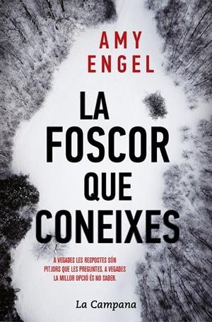 La foscor que coneixes | 9788416863730 | Amy Engel
