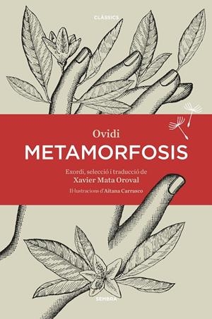 Metamorfosis (Ovidi) | 9788416698387 | Ovidi