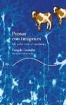 Pensar con imágenes | 9788484283065 | Grandin, Temple