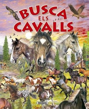 Busca els cavalls | 9788430559701 | Equipo Susaeta