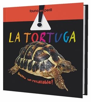 La tortuga mediterrània | 9788498253764 | Queralt, Elisenda