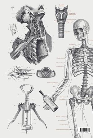 Vinos | 9788409432691 | ELBULLIFOUNDATION