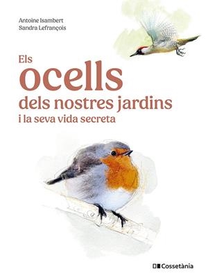 Els ocells dels nostres jardins i la seva vida secreta | 9788413563626 | Isambert, Antoine