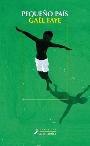 Pequeño país | 9788498388350 | Faye, Gaël
