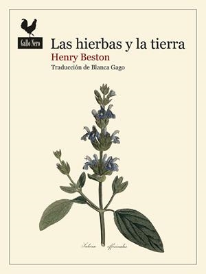 Las hierbas y la tierra | 9788419168740 | Beston, Henry