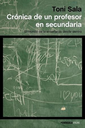 Crónica de un profesor en secundaria | 9788499428291 | Sala, Toni