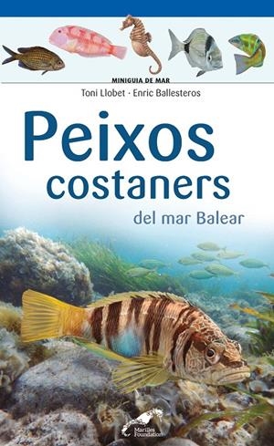 Peixos costaners del mar Balear | 9788490349403 | Ballesteros Sagarra, Enric/Llobet François, Toni