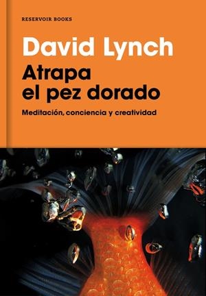 Atrapa el pez dorado | 9788416709014 | David Lynch