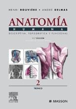 Anatomía humana 2 (tronco) | 9788445813140 | Rouvière, H. / Delmas, A. / Delmas, V.